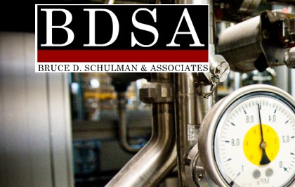 BDSA